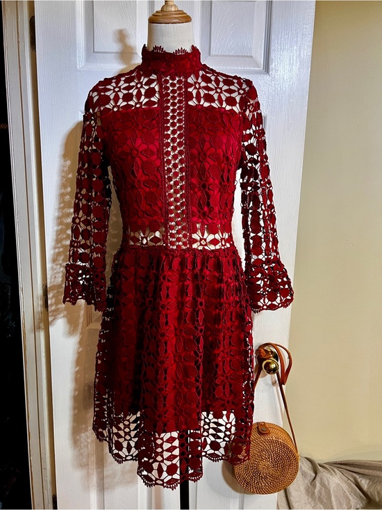 Eilly Bazar Dresses & Skirts - Eilly Bazar Wms Wine Lace Embroidery Cutout Inset Sheer Fit&Flare Mini Dress M